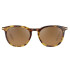 Serengeti Arlie 483004 polarized Serengeti Arlie 483004 Polarized
