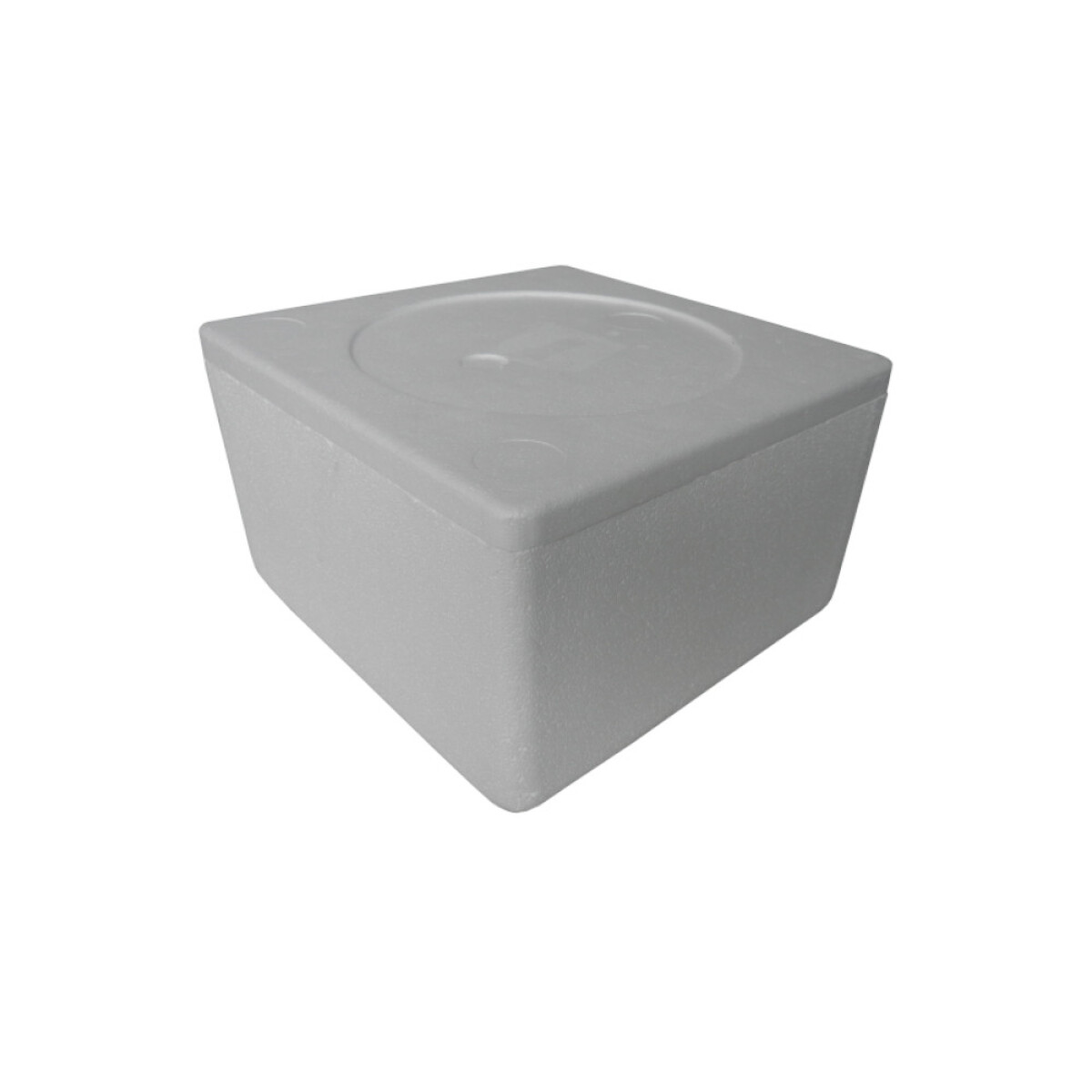 CAJA DE ESPUMA TORTA 20X20 CM. 4 LTS. 