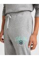 Joggers O'Neill Surf State Gris