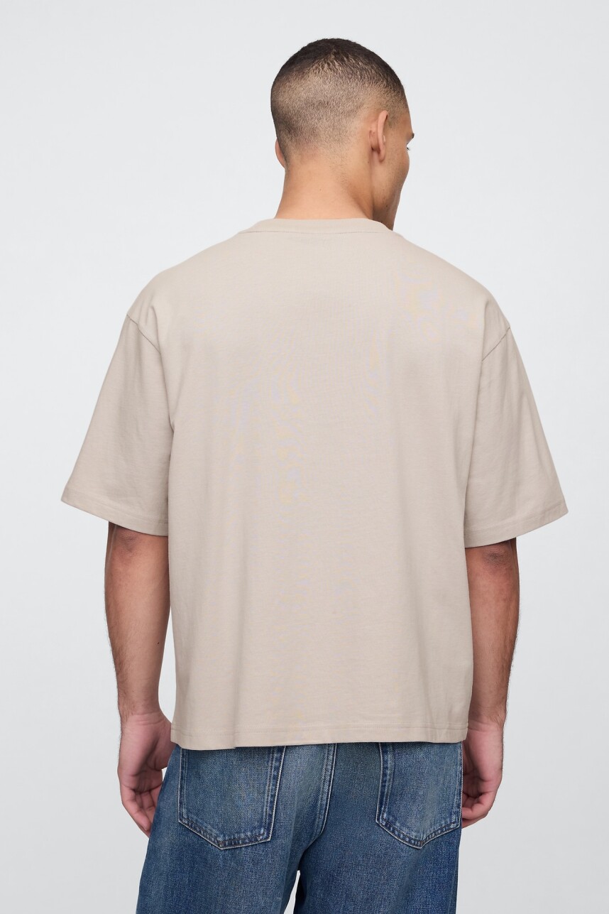 Remera Vintage Soft Hombre Frosty Morning