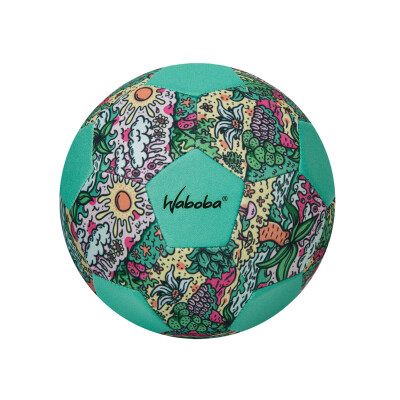 Pelota Volleyball Playa Waboba Tropical Scene