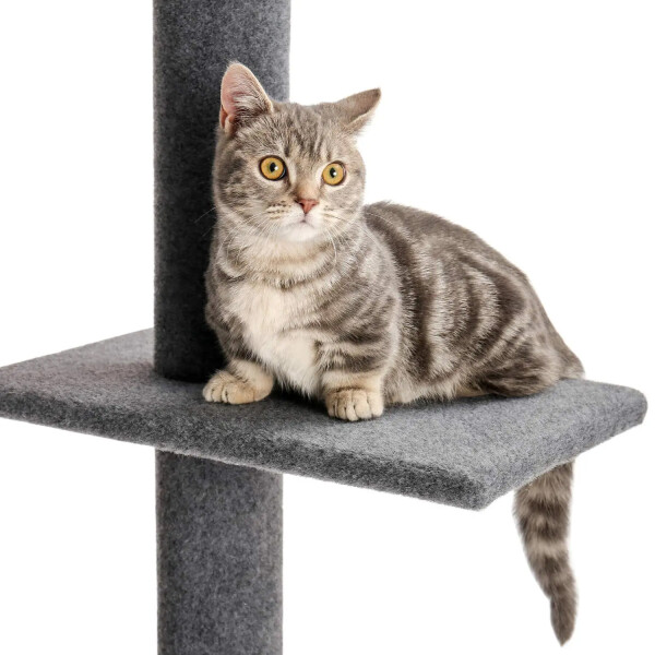 Rascador Torre Cama 4 Niveles En Felpa Y Sisal Para Gato Variante Color Gris Oscuro