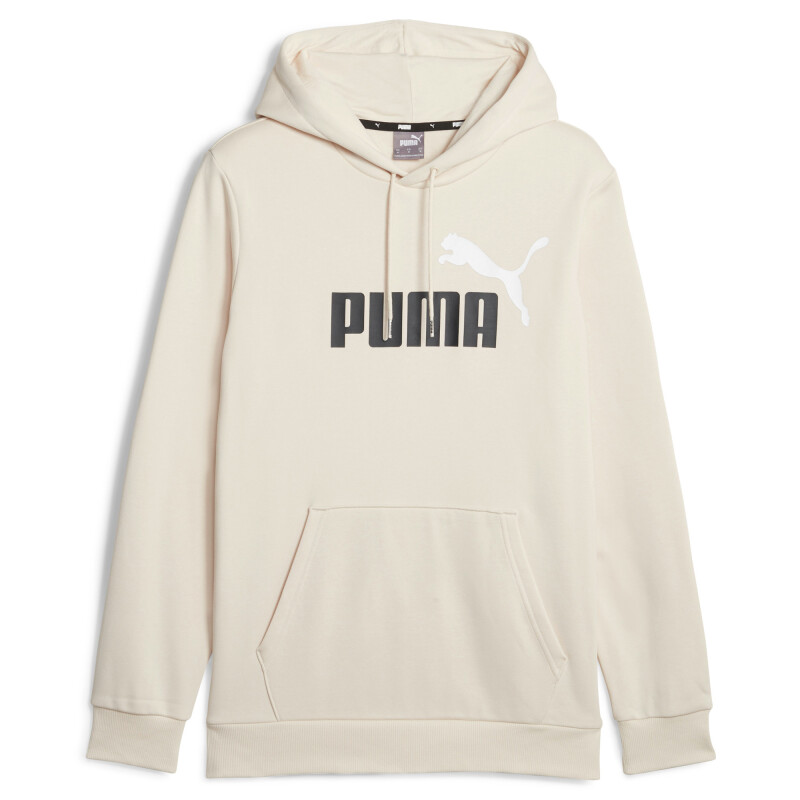 Abrigo ESS+ 2 Col Big Logo Hoodie Felpa de Hombre Multicolor