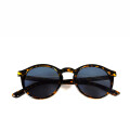 LENTES JOLAN DIXIE Carey