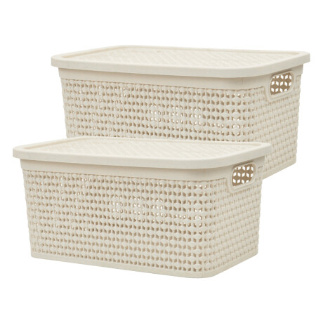 Set x2 Caja simil ratán 4 lts BEIGE