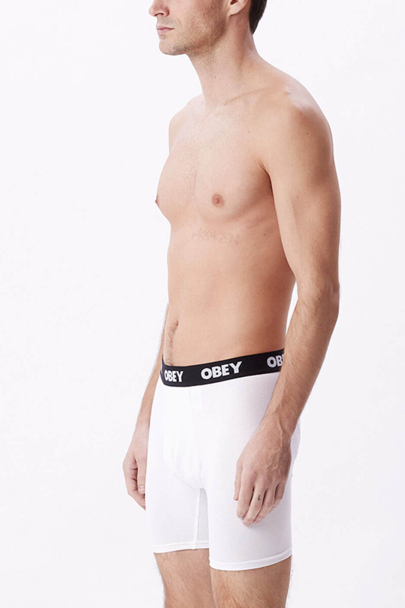 ESTABLISHED WORK 2 PACK BOXERS Blanco