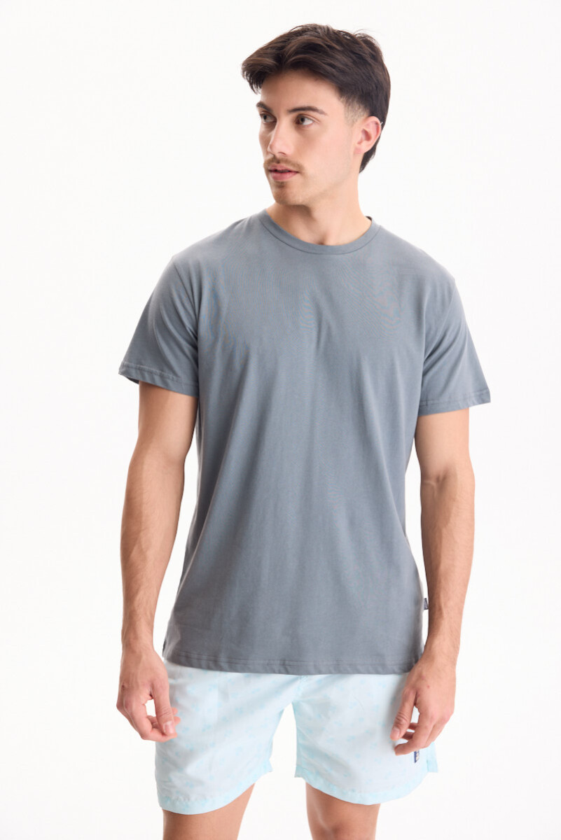 Remera Palmira - Gris 