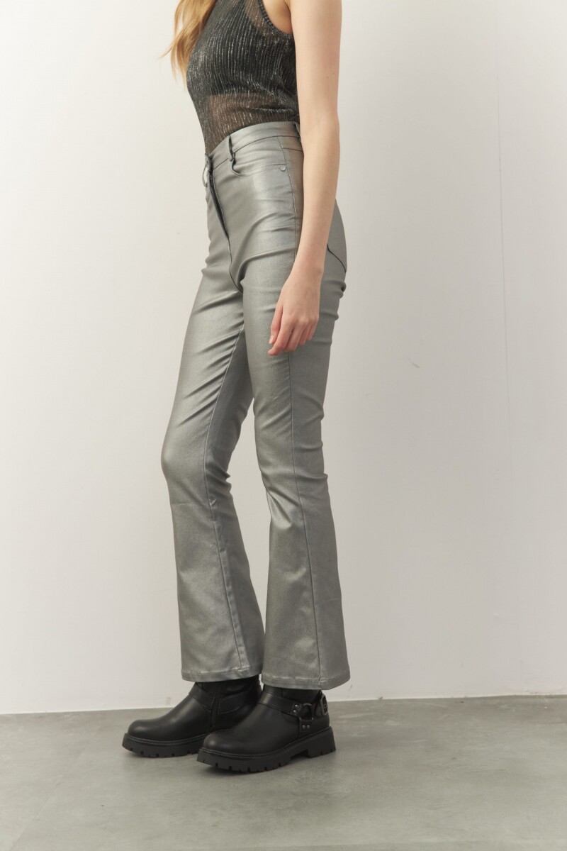 PANTALON DORIAN Plateado