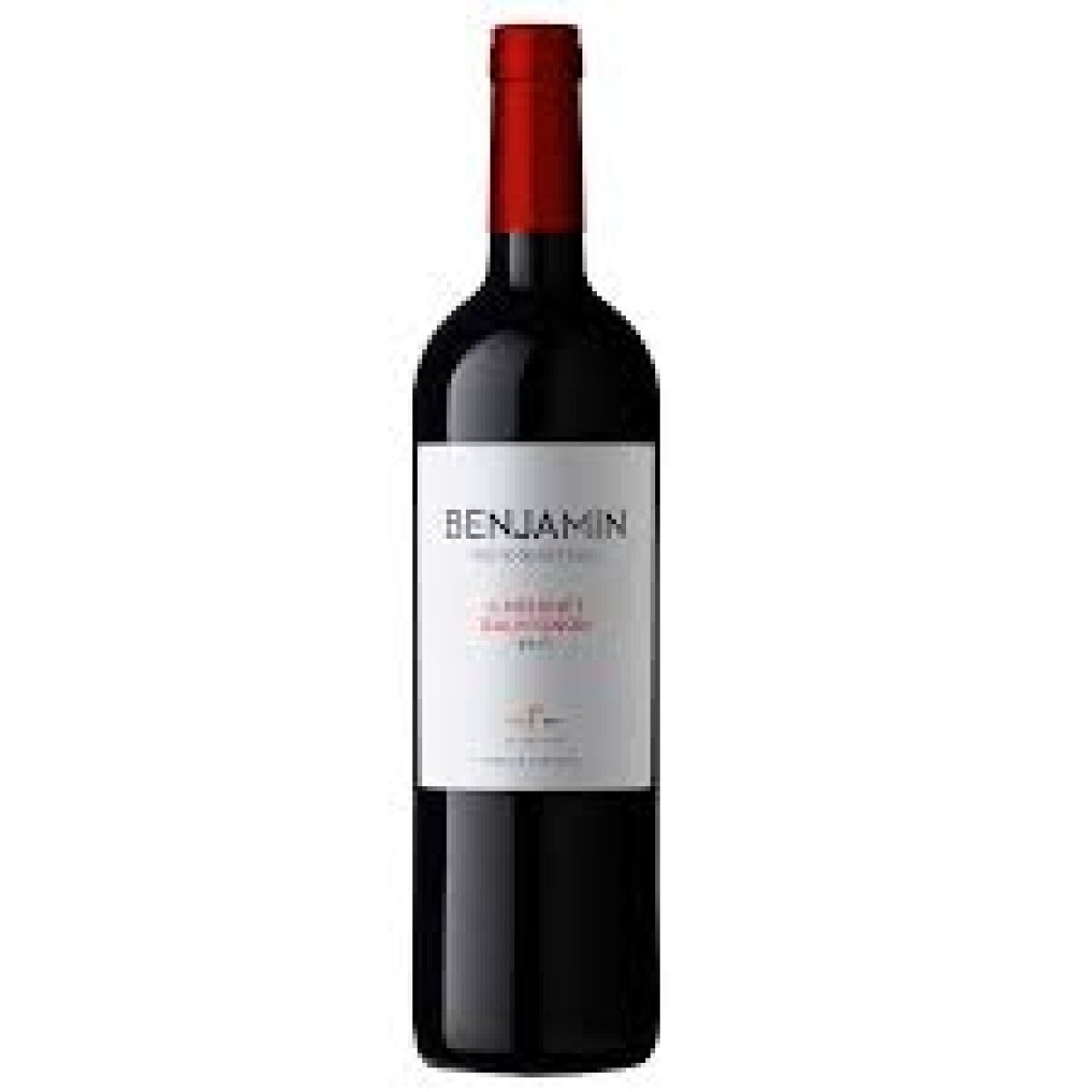 Vino Benjamin Nieto Senetiner Cabernet Sauvignon 750 Ml 