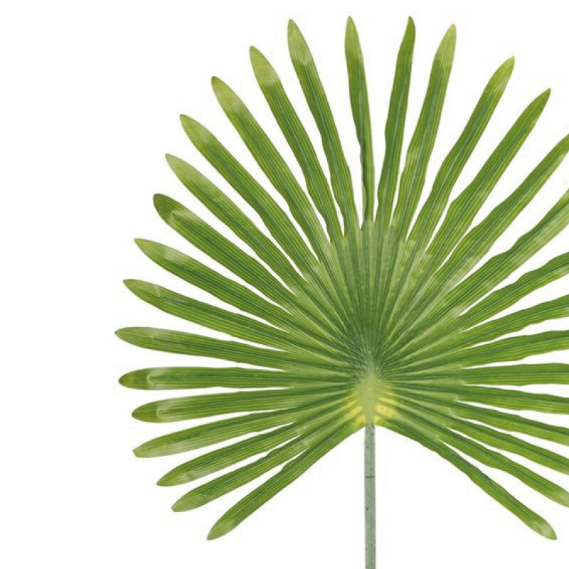 HOJA DE PALMA VERDE 59x3x103CM HOJA DE PALMA VERDE 59x3x103CM