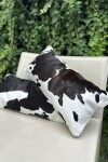 Cowhide Cushion Negro