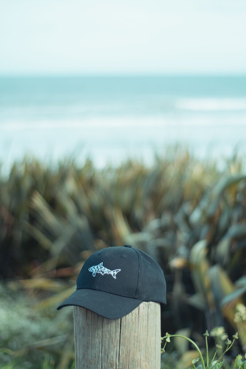 GORRA SHARK / Negro Gorra Shark / Negro