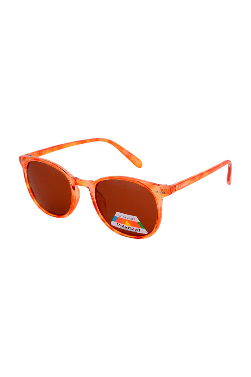 LENTES DE SOL BUTTERFLY TORT 