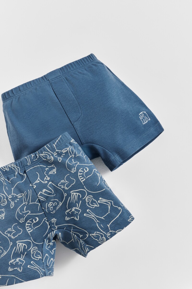 SET BOXER X2 WILLY A01