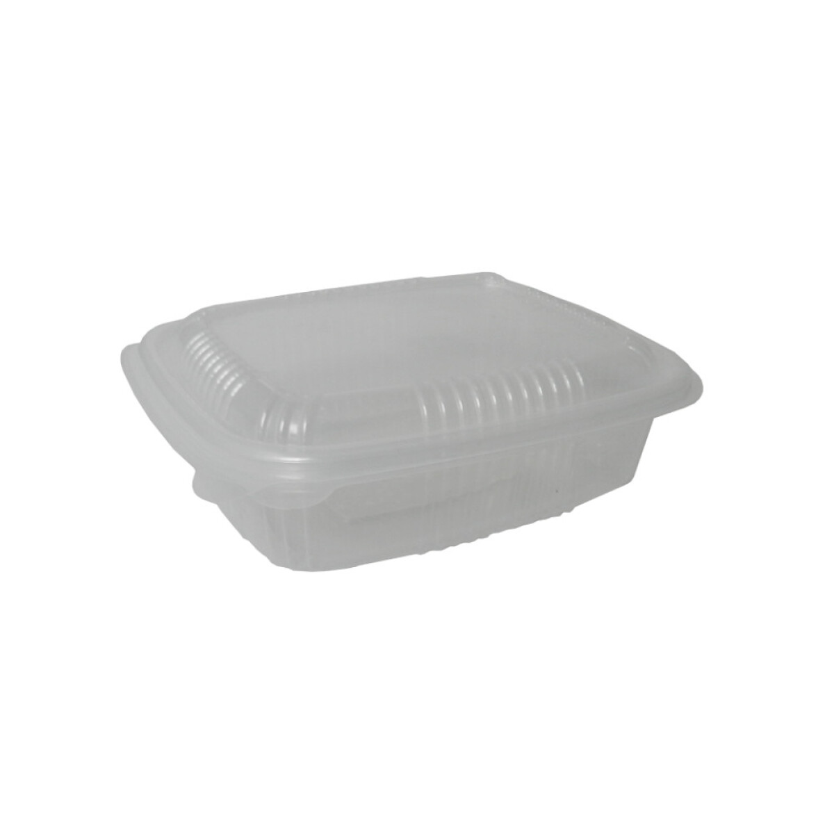 BANDEJA PP CON TAPA BISAGRA 15X19X5 CM. 