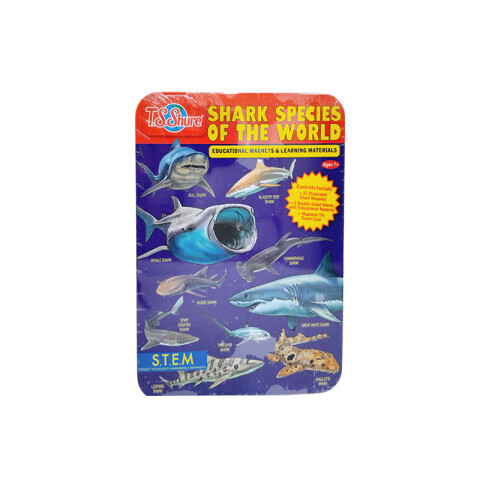 Puzzle DIY magnético varios diseños Puzzle Diy Magnético Varios Diseños