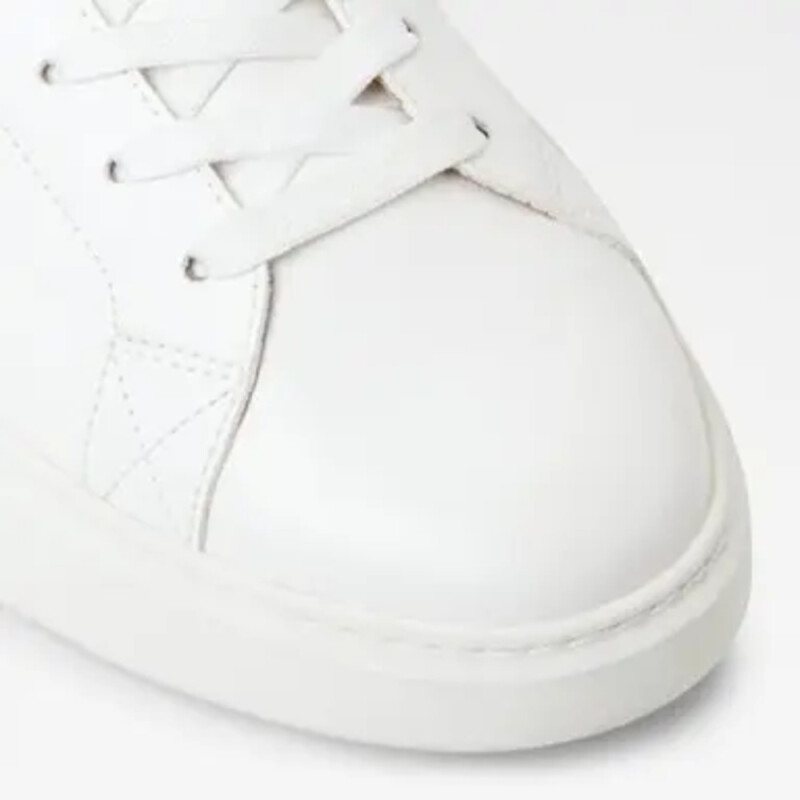 TODDY WHITE WHITE