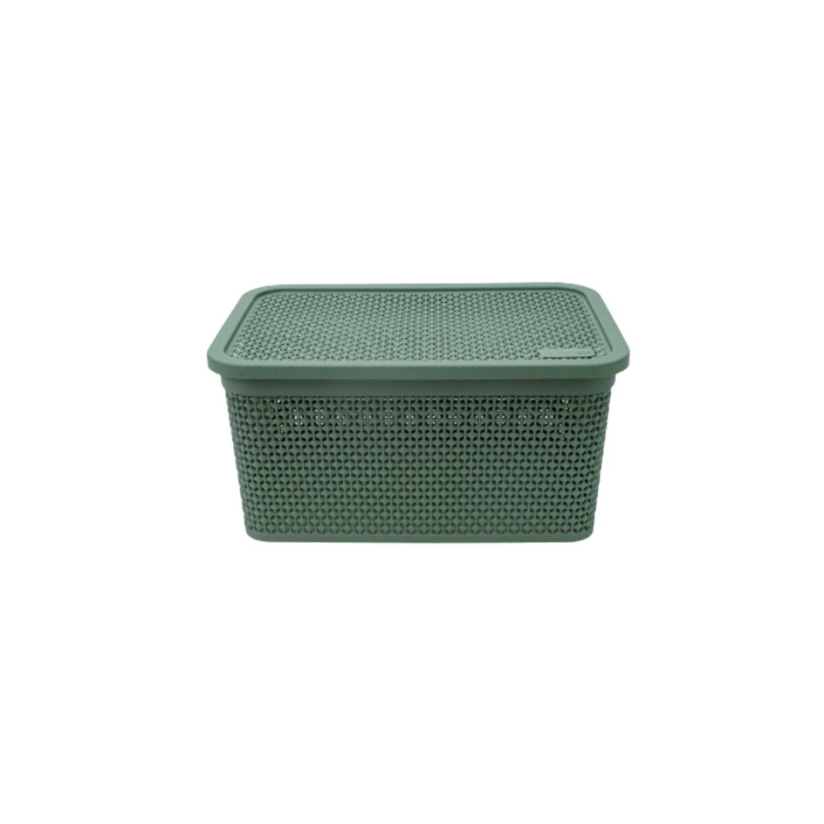 CAJA ORGANIZADORA SIMIL RATTAN 4 LITROS VERDE - VERDE 