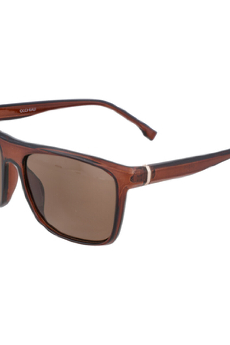 Lentes de sol Marrón