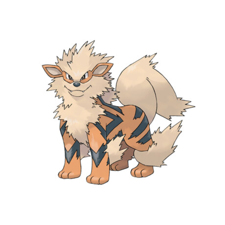 Arcanine · Pokemon - 920 Arcanine · Pokemon - 920