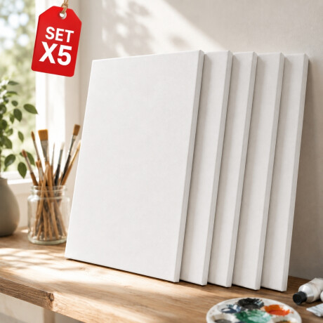 Set x5 Lienzos de 50x60 BLANCO