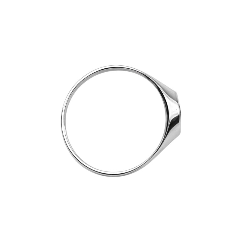 Anillo Profesión Profesor - Plata y Oro-Sin Piedra-AP5042 ap5042