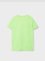 Camiseta Manga Corta Estampada Green Gecko