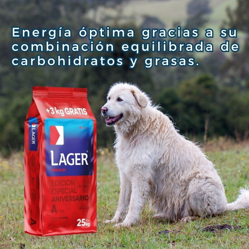 LAGER PERROS ADULTOS 22 KG + 3 KG DE REGALO