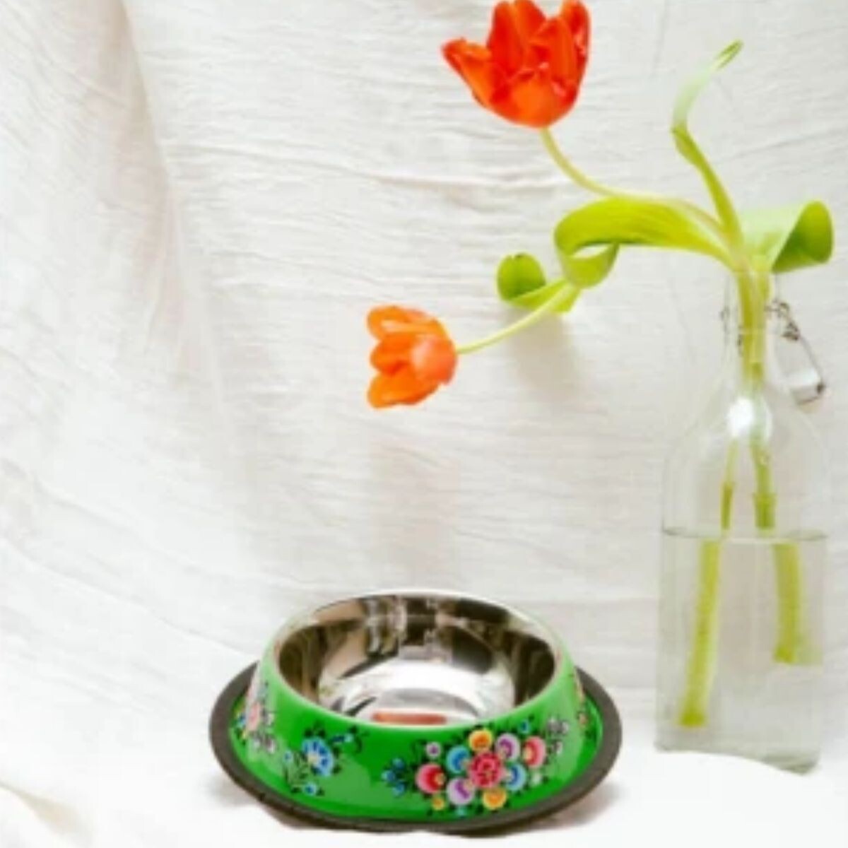 PLATO PARA PERRO FRIDA Verde 