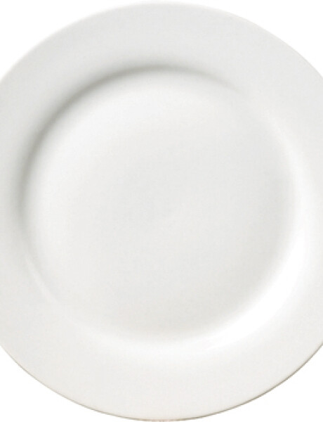 PLATO DE MESA D27CM BLANCO PORCELANA SELECTA PLATO DE MESA D27CM BLANCO PORCELANA SELECTA