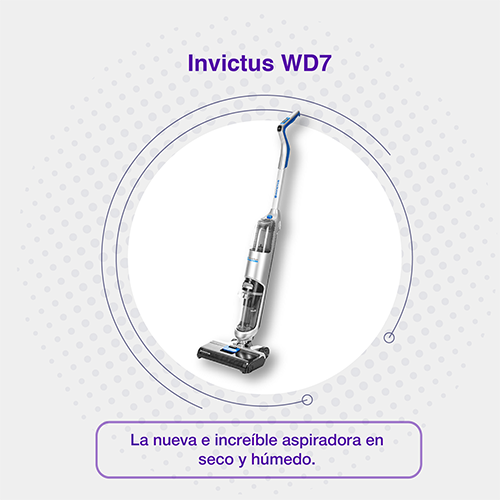 Invictus WD7 - Noviembre 2025