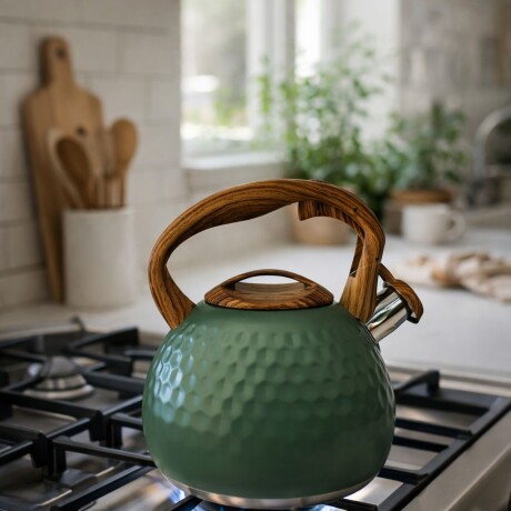 Caldera de Acero Inoxidable 3L | Verde Caldera de Acero Inoxidable 3L | Verde