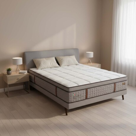 SOMMIER QUEEN RESORTES MASSIMOS