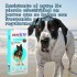 BRAVECTO ANTIPULGAS Y ANTIGARRAPATAS 20 A 40 KG