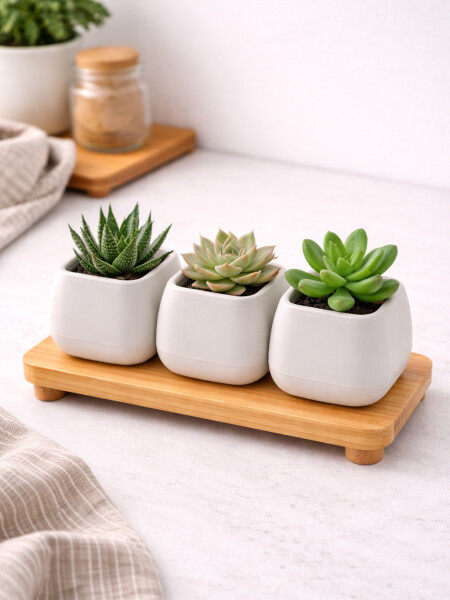 MACETA ELVAN SET X 3 OFF WHITE BLANCO