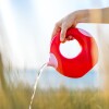 Regadera circular Grande 1L Cherry
