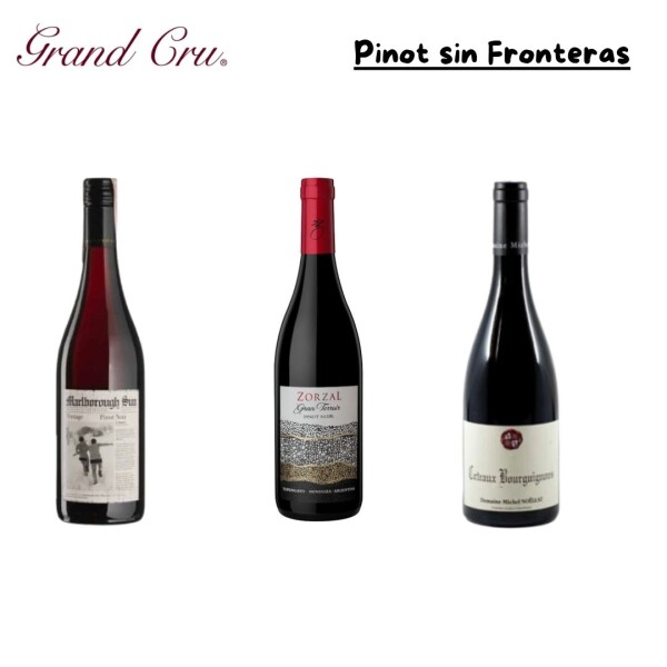 Pinot Sin Fronteras Pinot Sin Fronteras