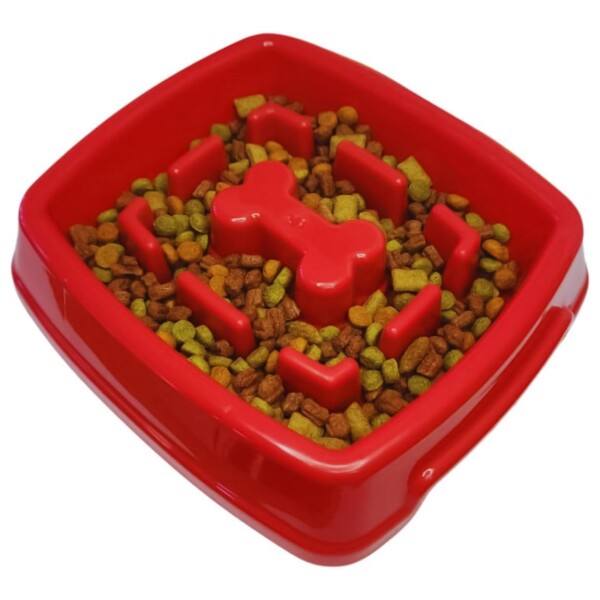 Plato Come Lento Mascota Grande Comedero Alimento Perro Gato Color Variante Bordo