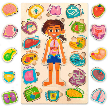 Set X2 Puzzles Cuerpo Humano Rompecabezas Madera Jug001104