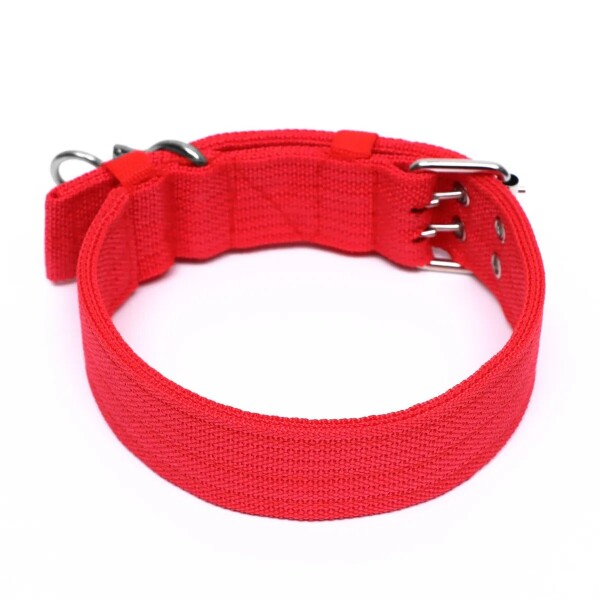 Collar Hebilla Nylon Perros Raza Grande 65 cm Ajustable Variante Color Rojo