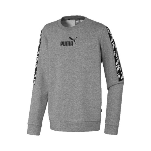 Buzo Puma Moda Niño Amplif.Crew TR Gris S/C