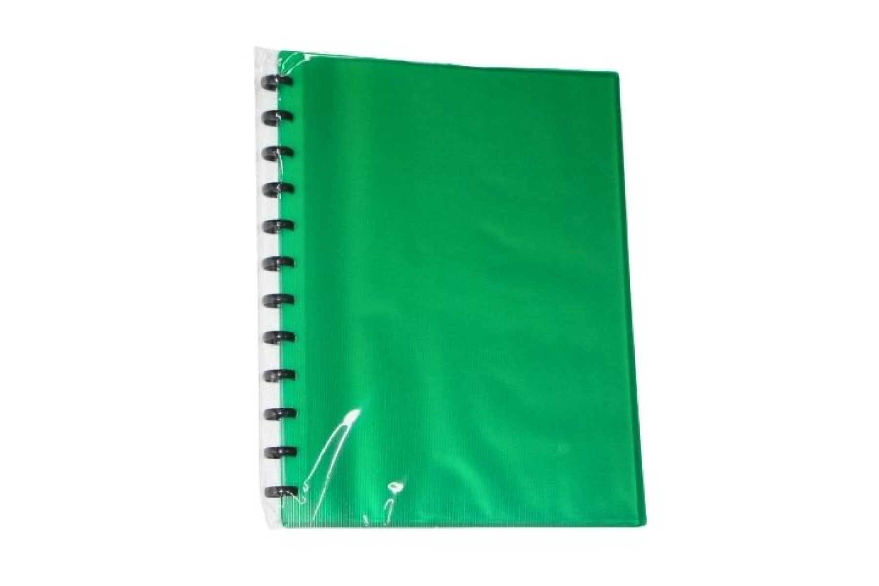 CARPETA TAMAÑO A4 CON 20 FUNDAS REMOVIBLES - COLOR VERDE 