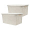 Set x2 Caja simil ratán 15 lts BEIGE