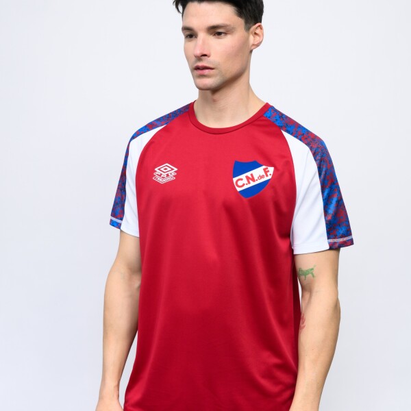 REMERA PRO TRAINING ACTIVE Nacional Hombre 00w