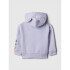 V-DIS LOGO FZ COSMIC SKY PURPLE 15-3