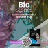 ARENA AGLOMERANTE BIO STONE 8 KILOS LAVANDA