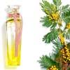 Agua Fresca Mimosa Eau de Toilette 120ml