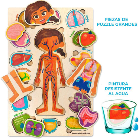 Set X2 Puzzles Cuerpo Humano Rompecabezas Madera Jug001104