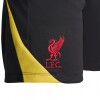 SHORT TERCERA EQUIPACION STRIKE LIVERPOOL FC Black