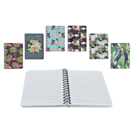 LIBRETA DOBLE ESPIRAL C/DISEÑO 50PAG PICASSO 9.2X13.2CM 21665 LIBRETA DOBLE ESPIRAL C/DISEÑO 50PAG PICASSO 9.2X13.2CM 21665